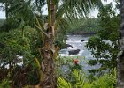 b Hilo Hawaii (25)